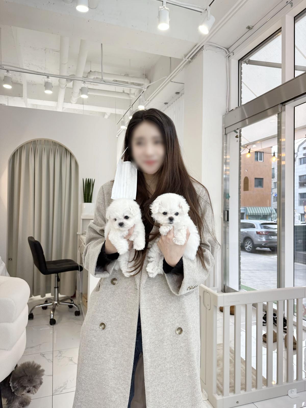 모델언니 1.jpg
