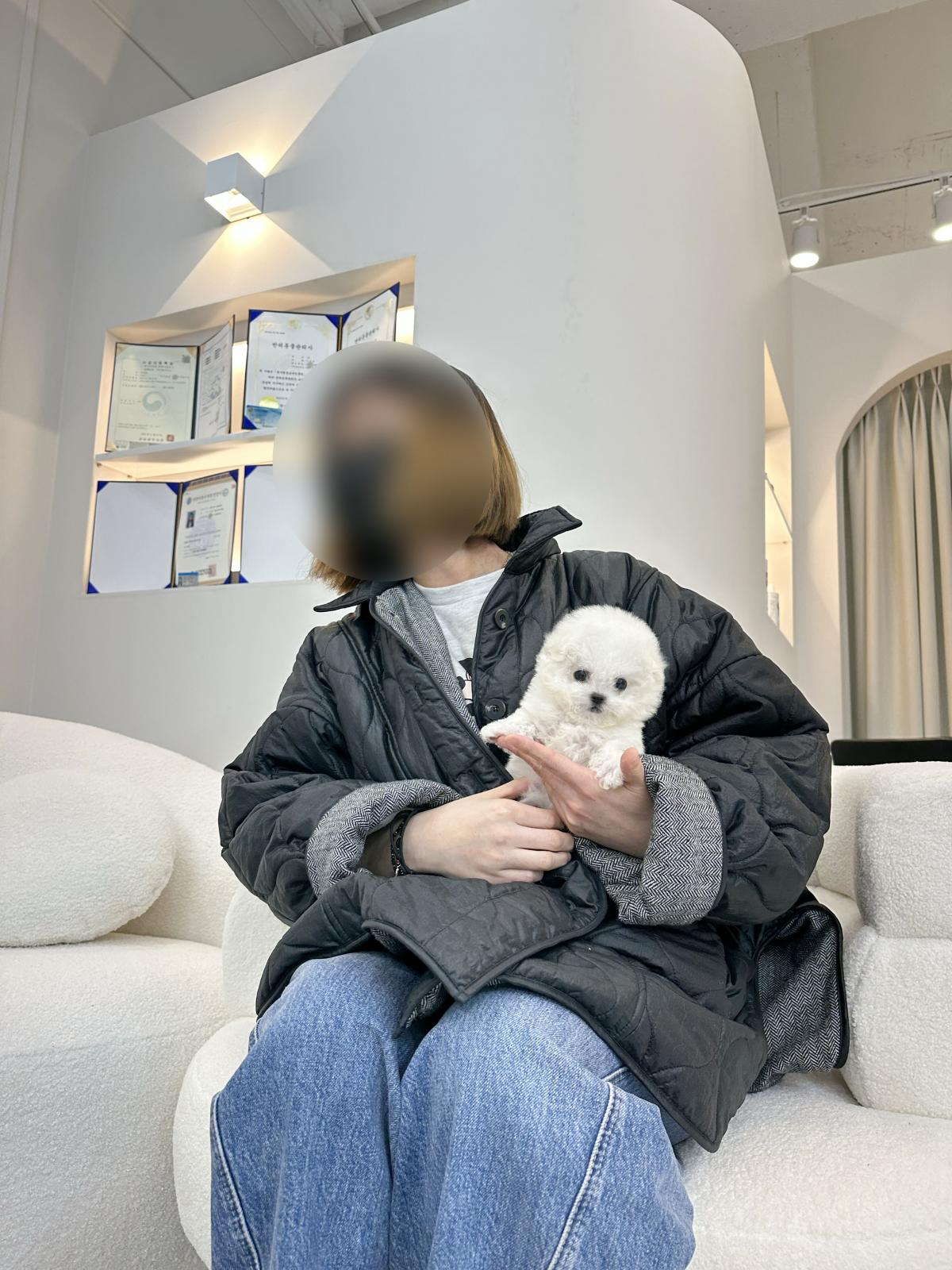 백사장응대 미니비숑 여아.jpg