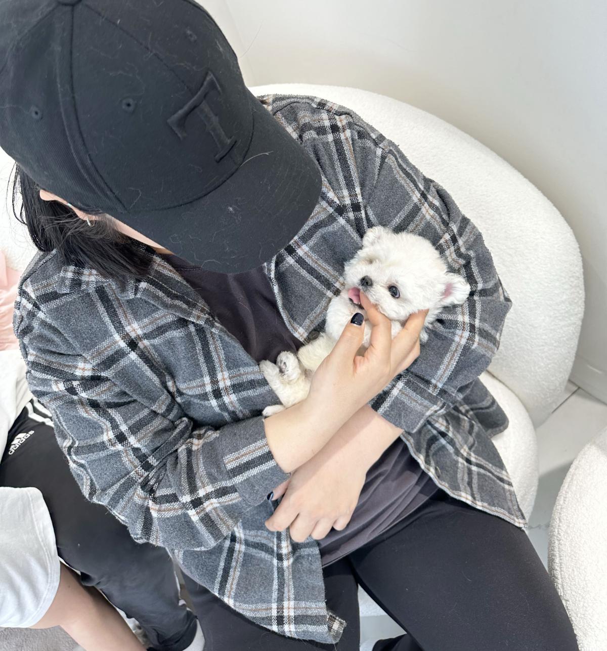 수입남 3.jpg