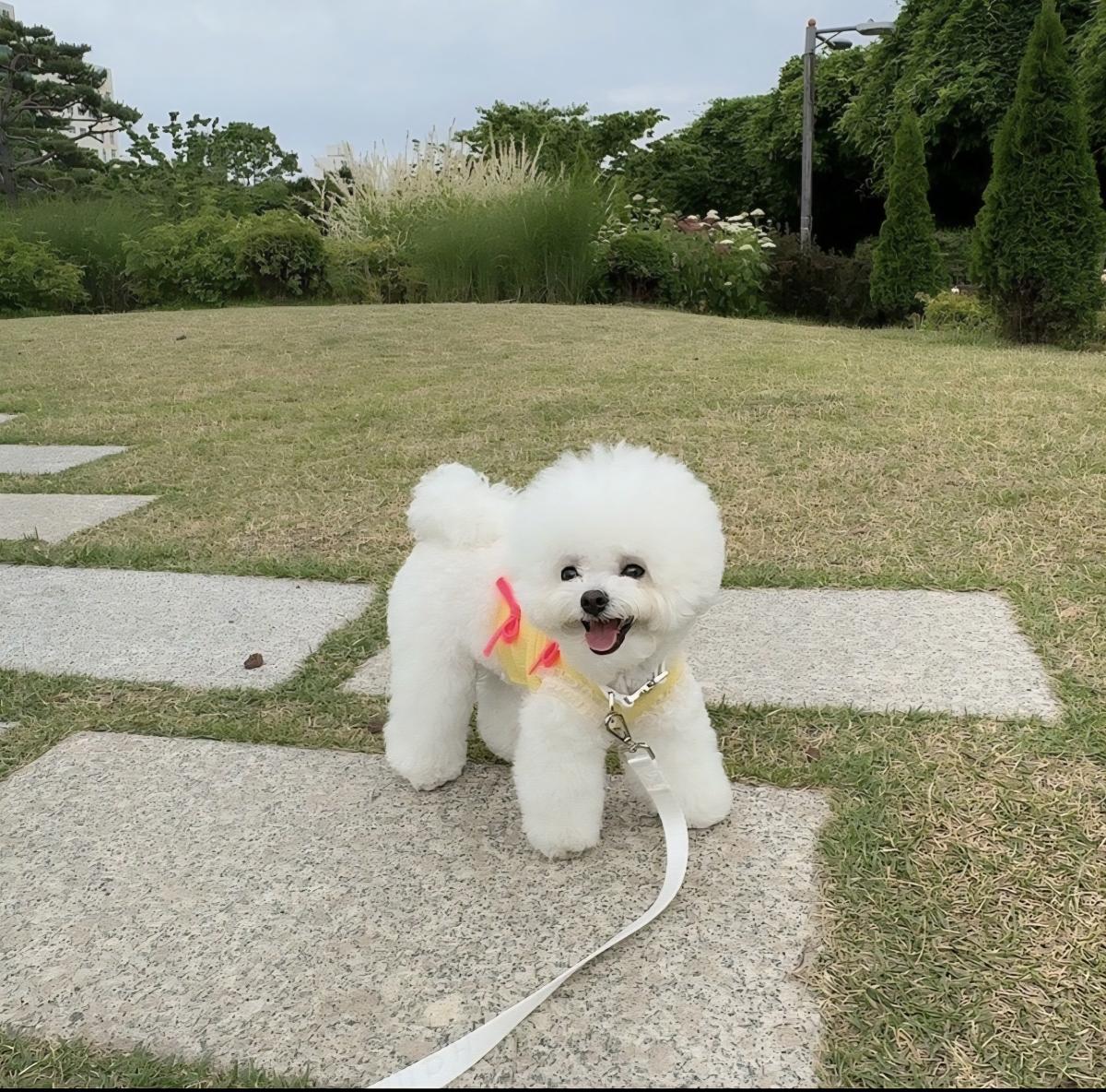 KakaoTalk_20260112_005915642_07.jpg