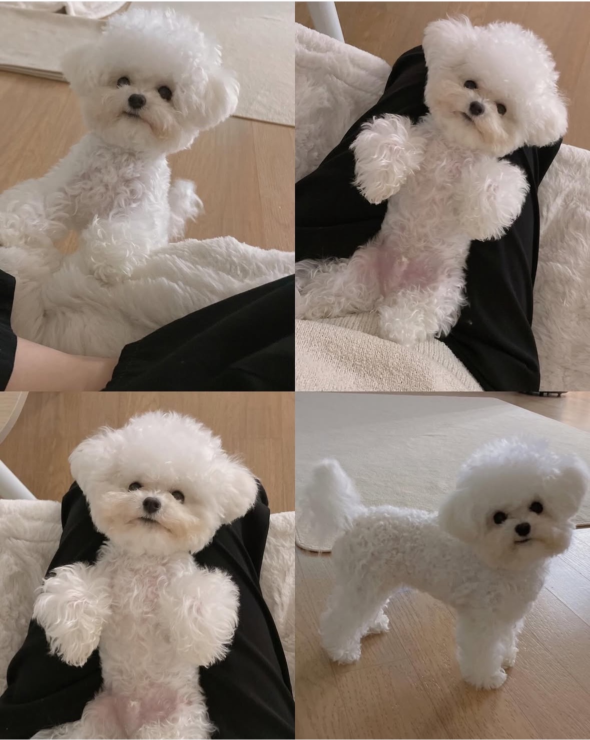 KakaoTalk_20260112_011309315_08.jpg