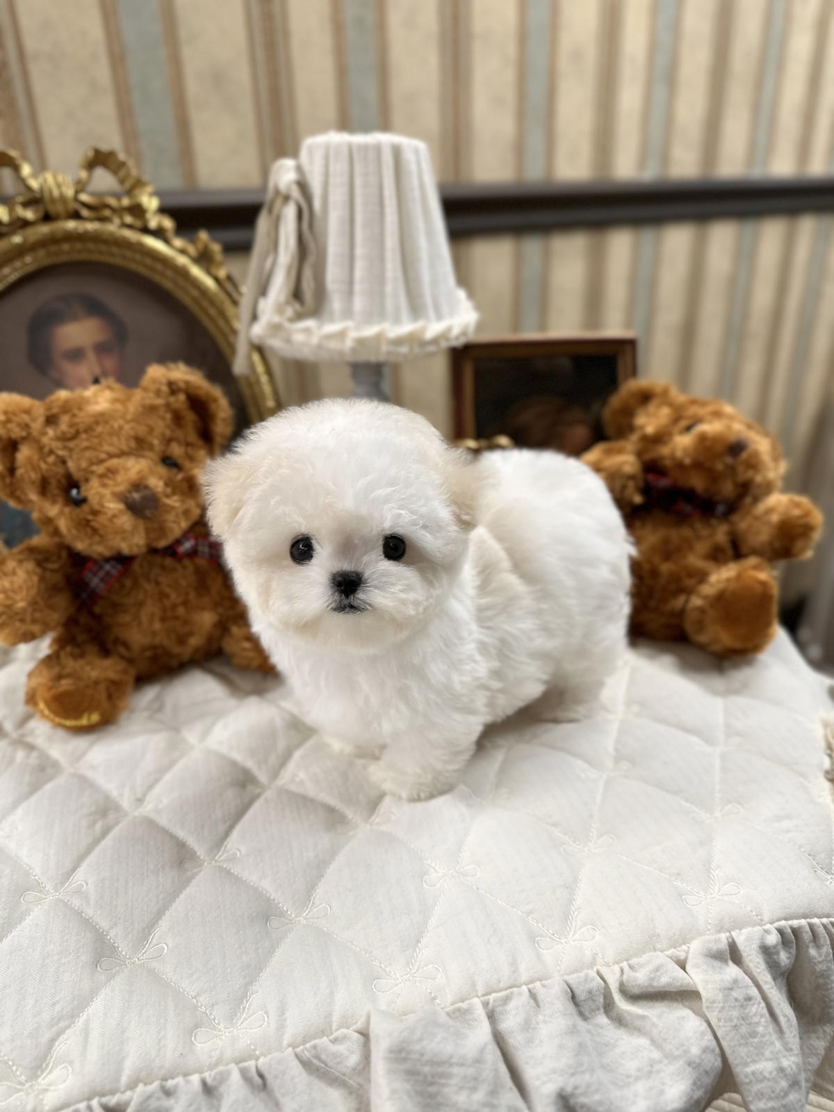 KakaoTalk_20260112_002008000_05.jpg