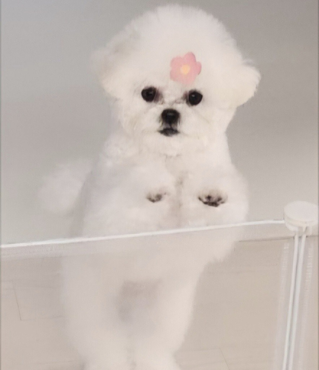 KakaoTalk_20260112_005915642_14.jpg