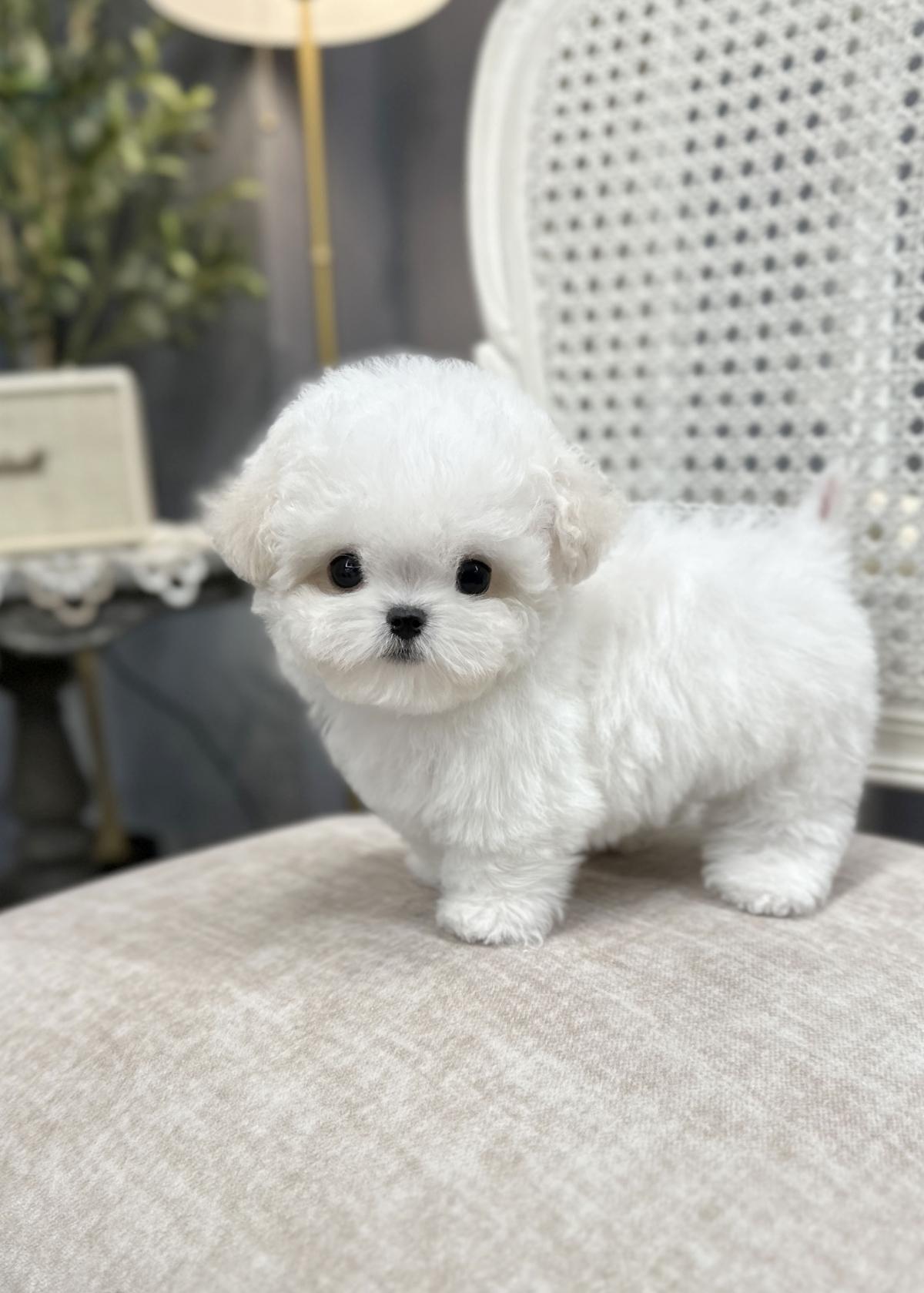 KakaoTalk_20251230_213026483_03.jpg