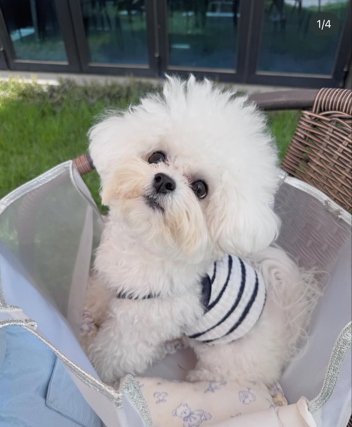 KakaoTalk_20260112_011309315_05.jpg
